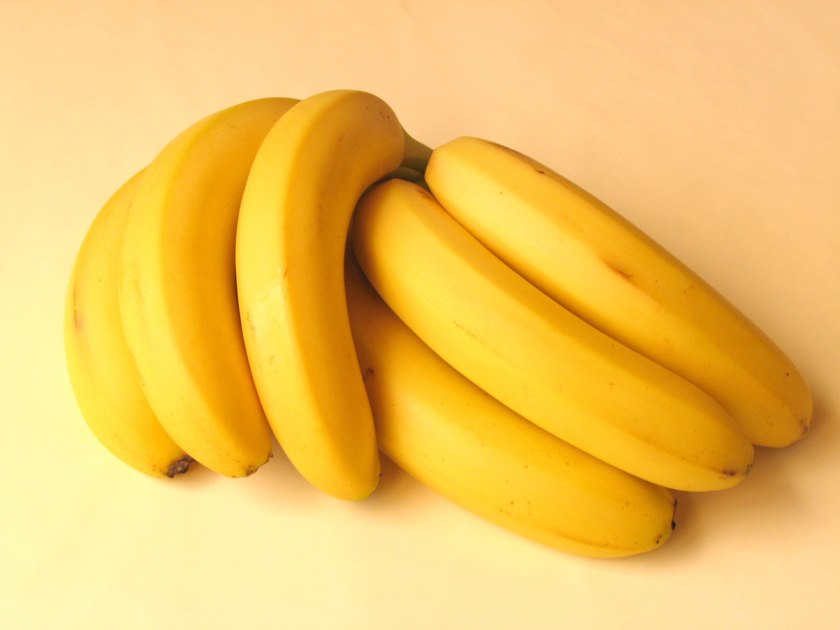 Fruit Classifier