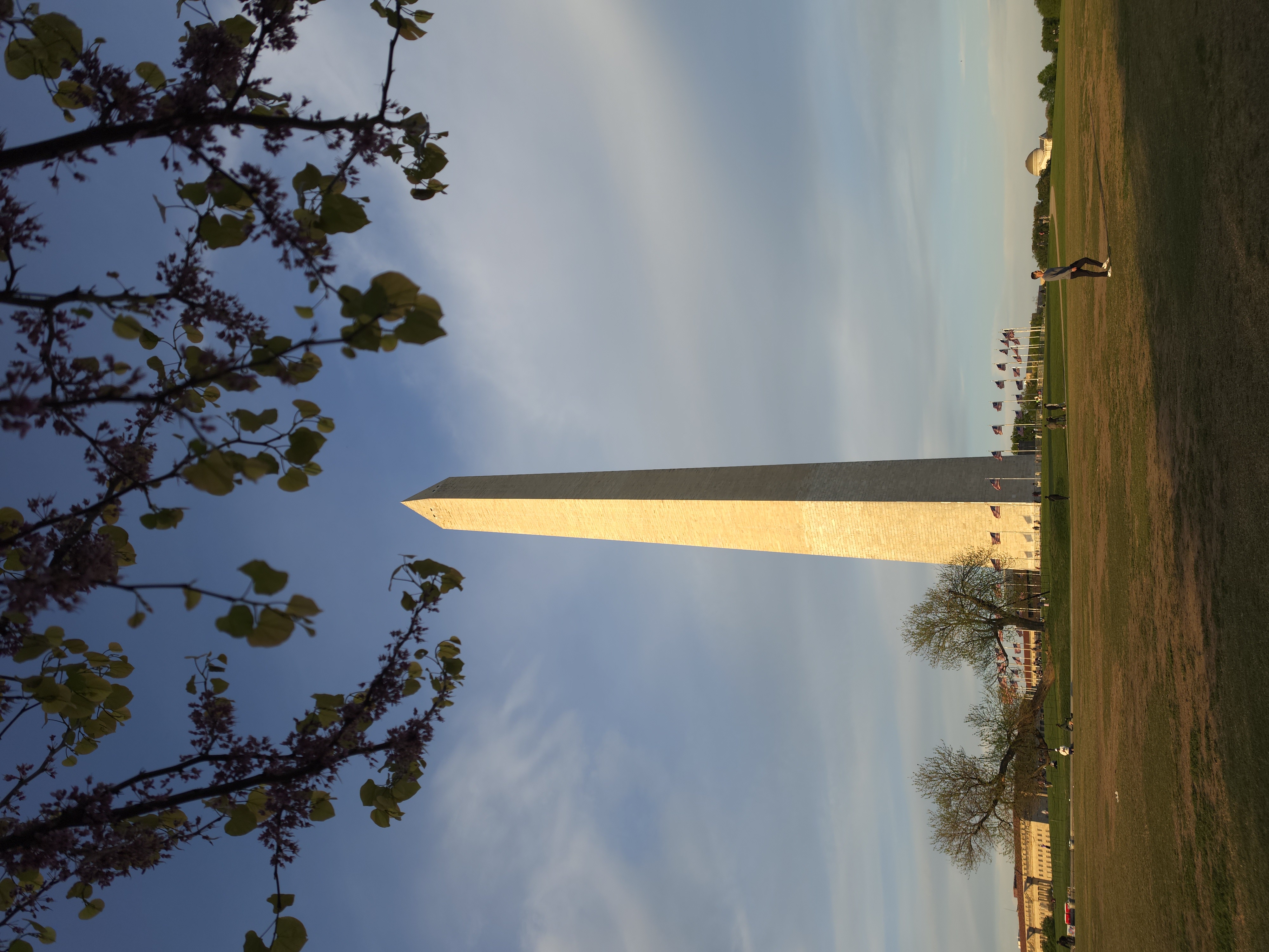 Washington Monument