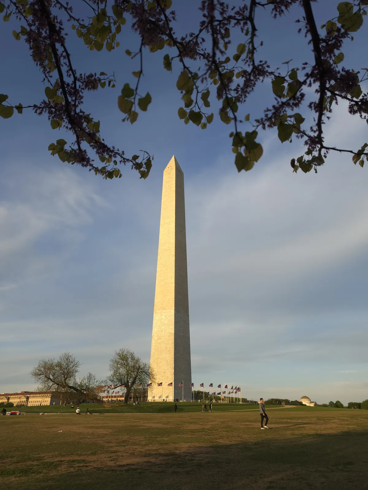 Washington Monument