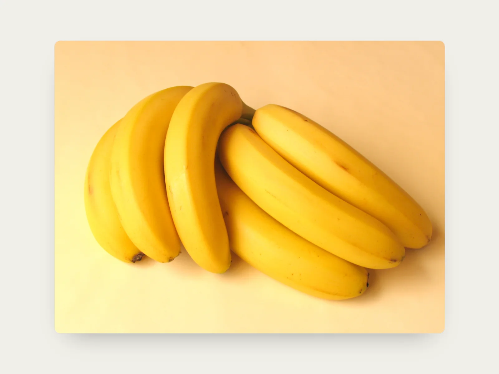 Fruit Classifier